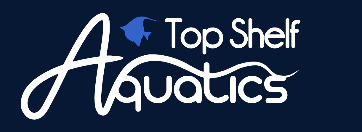 Top Shelf Aquatics